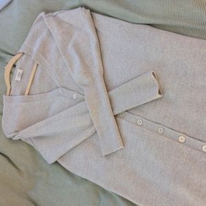 Aritzia Wilfred Spa / Utopia Dress